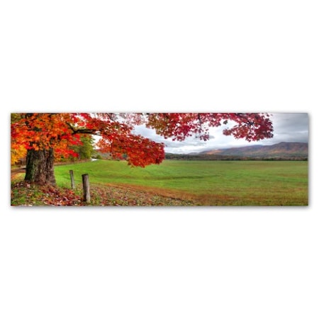 Doug Cavanah 'Fall Foliage' Canvas Art,16x47